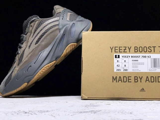 EG6860 Boost Geode v2 700 Adidas Yeezy 0917